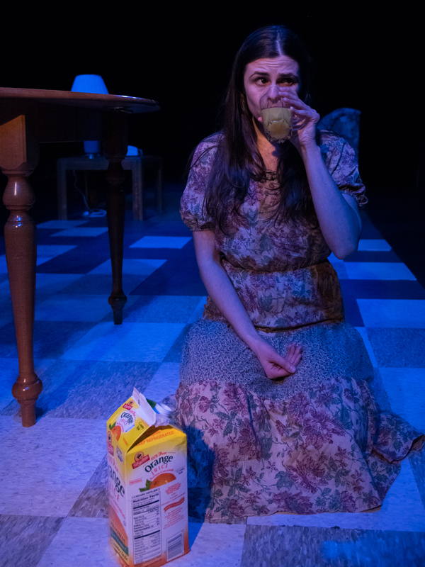 Photo Flash: The Associates World Premiere of SHEILA at A.R.T./New York Theatres Image