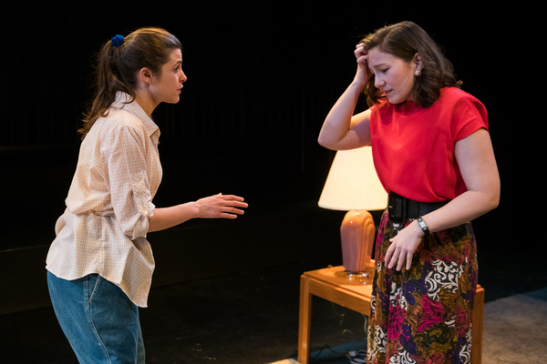Photo Flash: The Associates World Premiere of SHEILA at A.R.T./New York Theatres Image