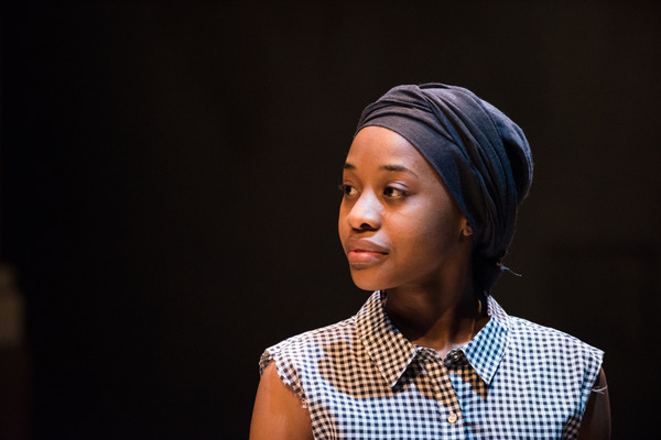 Photo Flash: First Look at Atlantic Theater Company's THE HOMECOMING QUEEN Image