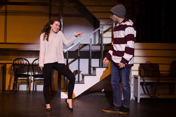 Photo Flash: First Look at The North Folk Community Theatre's NEXT TO NORMAL Image