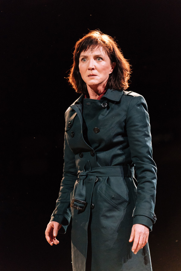Photo Flash: First Look at Ben Whishaw, Michelle Fairley & More in JULIUS CAESAR Image