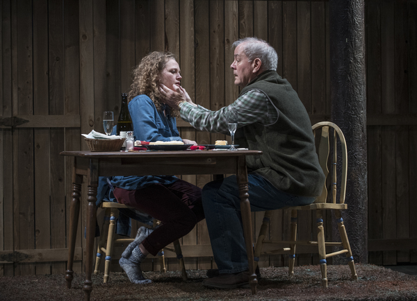 Photo Flash: First Look at Steppenwolf's Premiere Production of YOU GOT OLDER Image