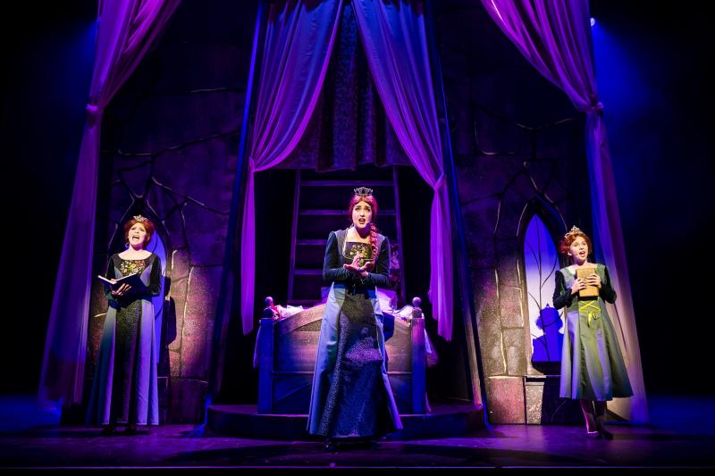 Review: Packemin's Production Of SHREK THE MUSICAL Is A Fun Filled Polished Production Image