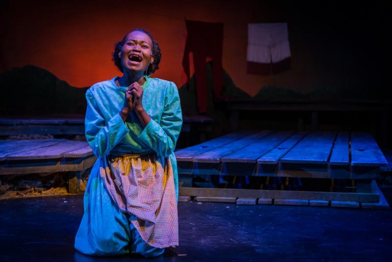 Review: THE COLOR PURPLE is Vibrant with Song and Success at Red Mountain Theatre Company 