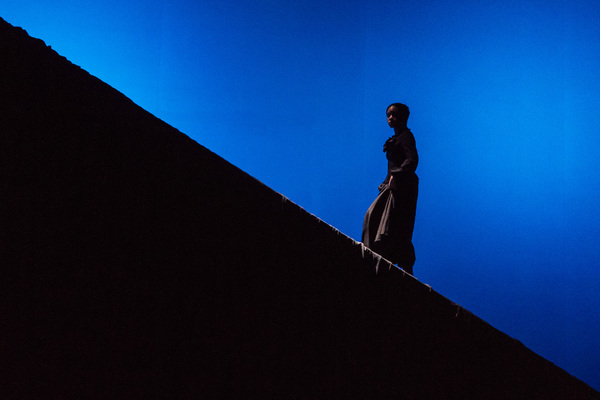 Photo Flash: First Look at THE DIVIDE at The Old Vic Image