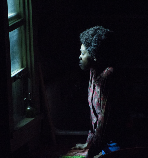 Photo Flash: American Stage Extends A RAISIN IN THE SUN by Popular Demand Image