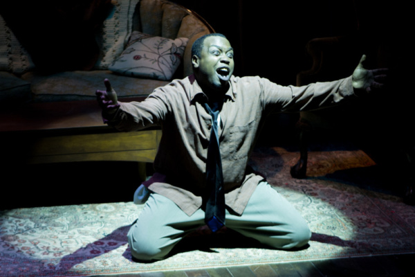 Photo Flash: American Stage Extends A RAISIN IN THE SUN by Popular Demand Image