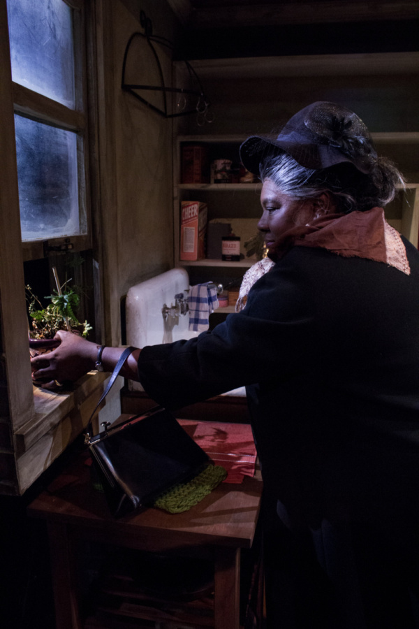 Photo Flash: American Stage Extends A RAISIN IN THE SUN by Popular Demand Image
