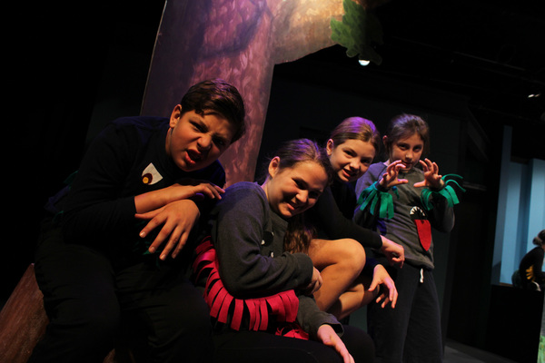 Photo Flash: Raven Theatre Announces TAKE FLIGHT SUMMER CAMP 2018 Programming Image