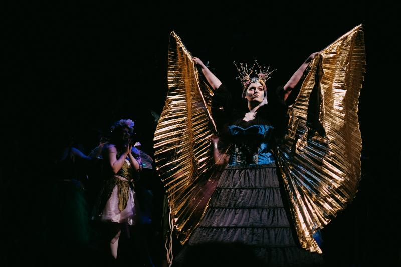 BWW Previews: Gilbert and Sullivan's IOLANTHE at Moyse Hall Theatre Image