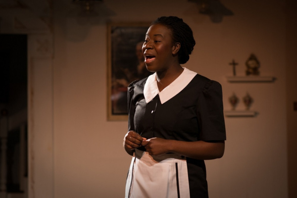 Photo Flash: Passion And Glamour In '60s White House Musical HOT LIPS AND COLD WAR Image