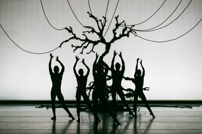 Review: Nashville Ballet's Stunning Performance of Stephen Mills' LIGHT Image
