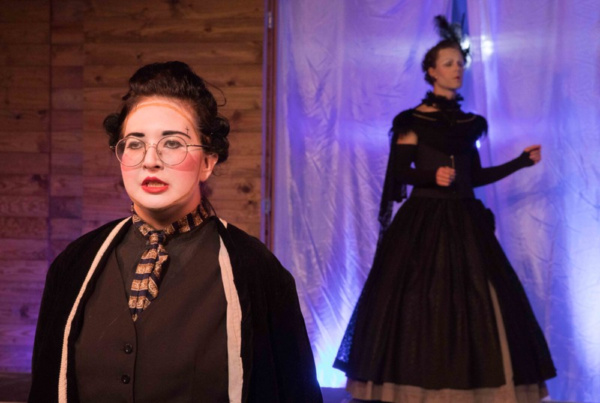 Photo Flash: First Look At Mountain Art Theatre's TWELFTH NIGHT Image