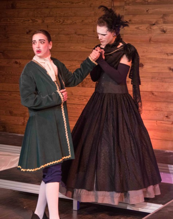 Photo Flash: First Look At Mountain Art Theatre's TWELFTH NIGHT Image