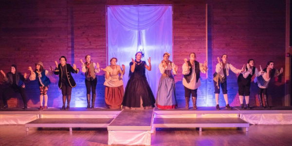 Photo Flash: First Look At Mountain Art Theatre's TWELFTH NIGHT Image