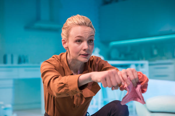 Photo Flash: First Look at GIRLS AND BOYS at The Royal Court Theatre Image