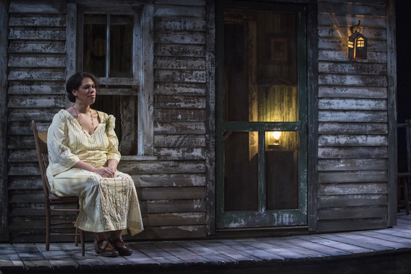 Photo Flash: A MOON FOR THE MISBEGOTTEN Comes to Writers Theatre 