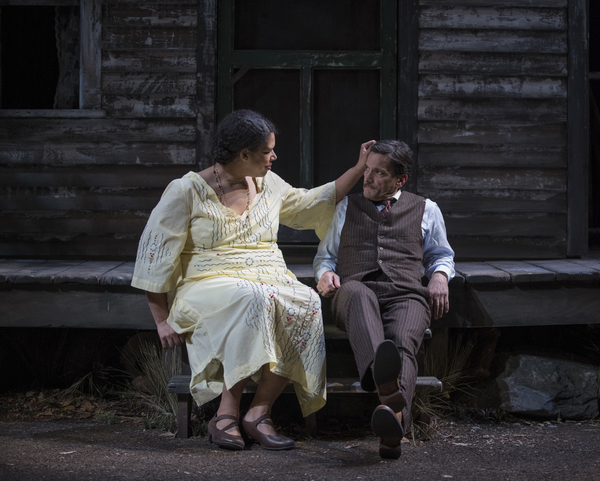 Photo Flash: A MOON FOR THE MISBEGOTTEN Comes to Writers Theatre 