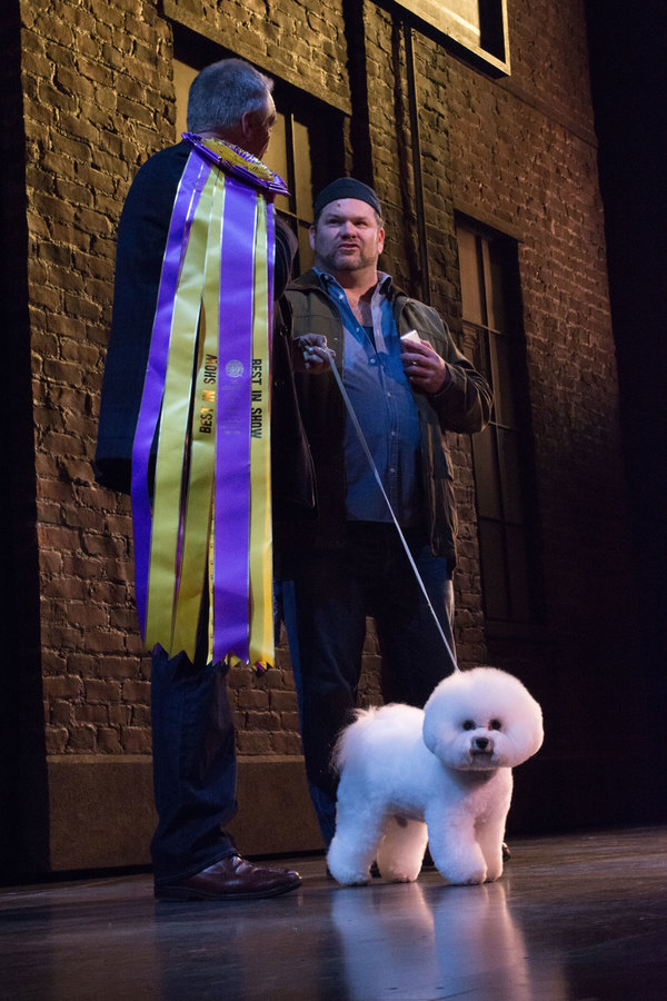 Photo Flash: KINKY BOOTS Welcomes Flynn the Bichon Frise to Broadway Image
