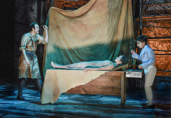 Photo Flash: DTC Mounts Dark and Twisted FRANKENSTEIN Image