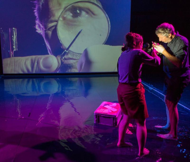 Review: GULLIVER at Hazira Ba-Bait Image