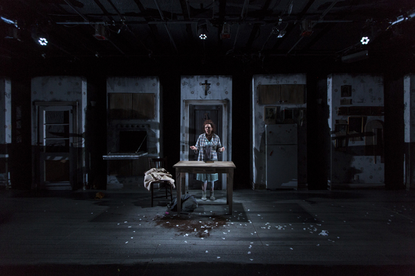 Photo Coverage: First Look at Deirdre O'Connell and Company in TERMINUS Image