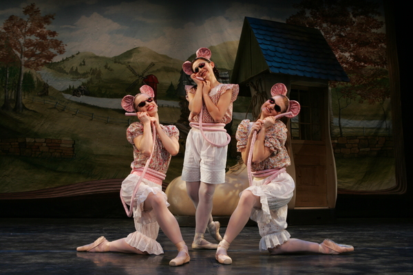 Photo Flash: Schimmel Center presents New York Theatre Ballet in MOTHER GOOSE! Image