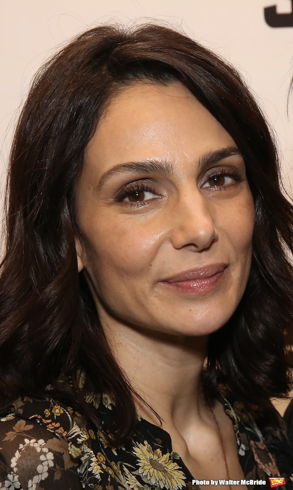 Photo Coverage: AT HOME AT THE ZOO Opens Off-Broadway Image