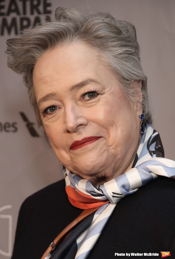 Photo Coverage: Jessica Lange and More Arrive on the Red Carpet at Roundabout Theatre Company's 2018 Gala Image