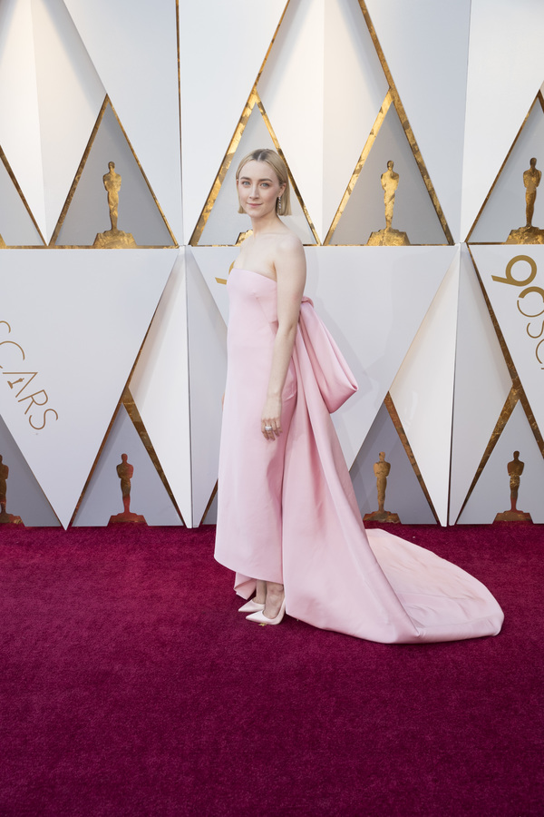 Photo Coverage: The Stars Arrive at the 90th Annual Academy Awards Image