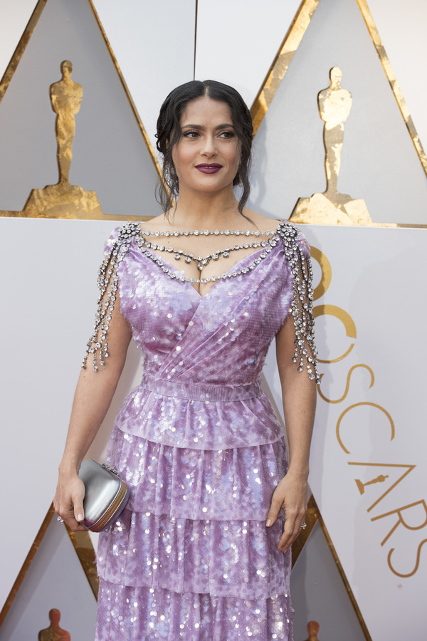 Photo Coverage: The Stars Arrive at the 90th Annual Academy Awards Image