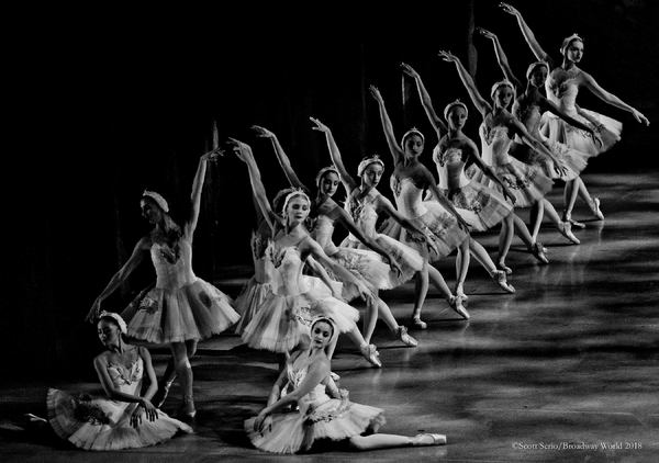 BWW Previews: SWAN LAKE at The Academy Of Music Image