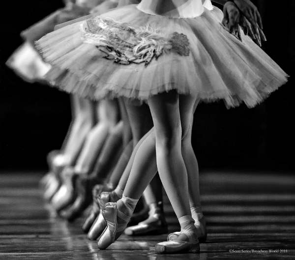 BWW Previews: SWAN LAKE at The Academy Of Music Image