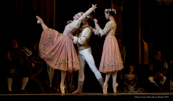 BWW Previews: SWAN LAKE at The Academy Of Music Image