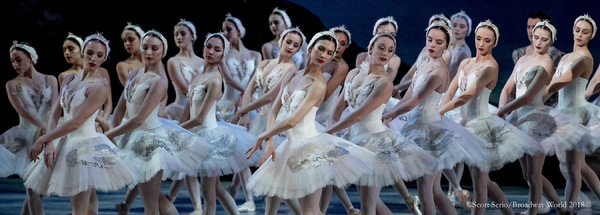 BWW Previews: SWAN LAKE at The Academy Of Music Image