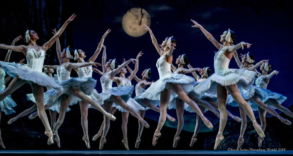 BWW Previews: SWAN LAKE at The Academy Of Music Image