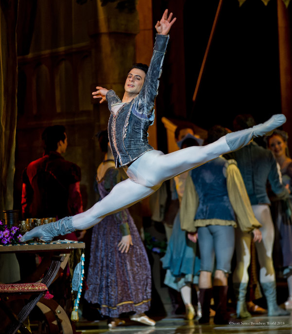 BWW Previews: SWAN LAKE at The Academy Of Music Image
