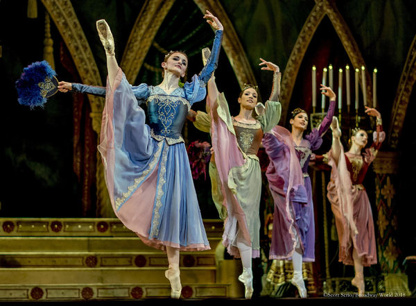 BWW Previews: SWAN LAKE at The Academy Of Music Image