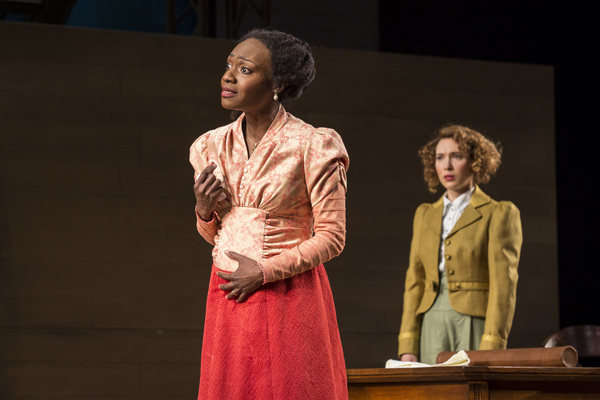 Photo Flash: Robert Falls Presents Henrik Ibsen's AN ENEMY OF THE PEOPLE Image