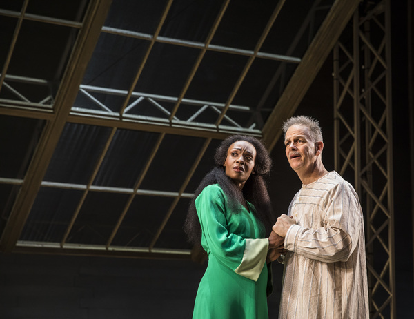 Photo Flash: Robert Falls Presents Henrik Ibsen's AN ENEMY OF THE PEOPLE Image
