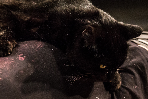 Photo Coverage: First look at Warehouse Theatre Columbus' THE LIEUTENANT OF INISHMORE Image