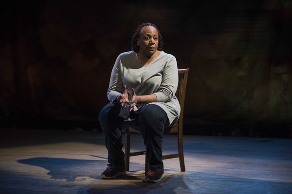 Photo Flash: Milwaukee Repertory Theater Presents UNTIL THE FLOOD  Image