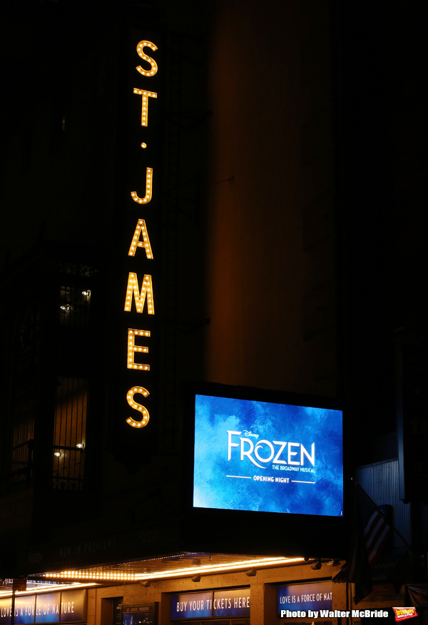 Photo Coverage: A Cold Front Takes Over Broadway! Inside FROZEN's Opening Night Curtain Call Image