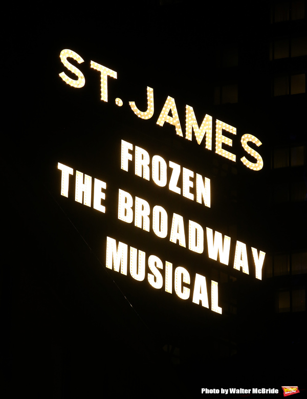 Photo Coverage: A Cold Front Takes Over Broadway! Inside FROZEN's Opening Night Curtain Call Image
