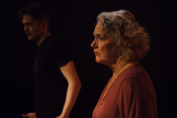 Photo Flash: Louise Jameson and Thomas Mahy Star in VINCENT RIVER Image
