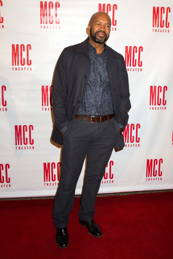 Photo Coverage: Broadway Walks the Red Carpet for Miscast 2018, Celebrating Laurie Metcalf! Image