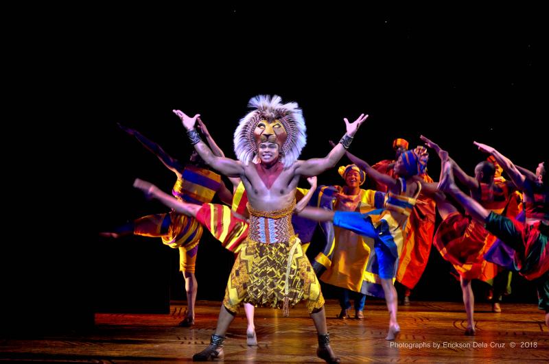Photo Coverage: Sneak Peek at Disney's THE LION KING First International Tour Image