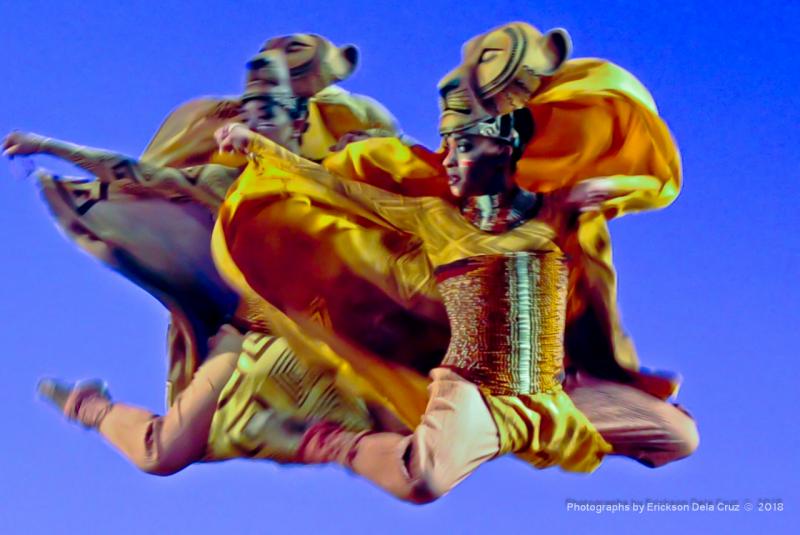 Photo Coverage: Sneak Peek at Disney's THE LION KING First International Tour Image