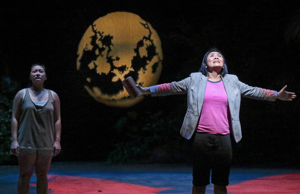Photo Flash: The Playwrights' Arena Presents BLOODLETTING Image