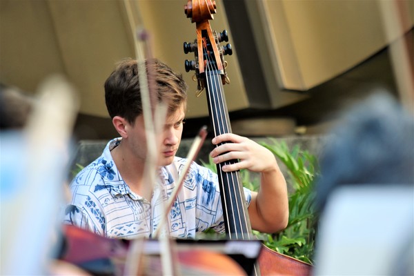 BWW Blog: Hawai'i Symphony Orchestra Celebrates Triumph over Subjugation at Bank of Hawaii Pop-Up Concert Image